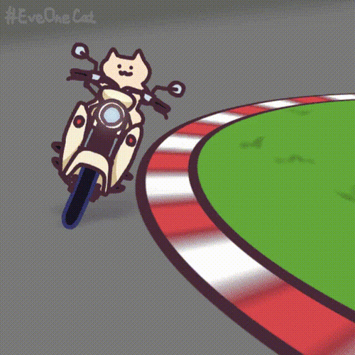 eveonecat沙雕猫动图第二批,作者如图,无水