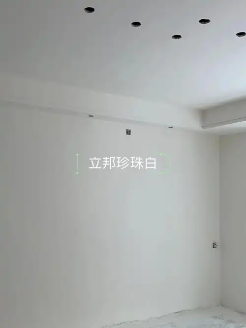 主卧的背景用了立邦灰蓝色还没刷呢,希望不要翻车!