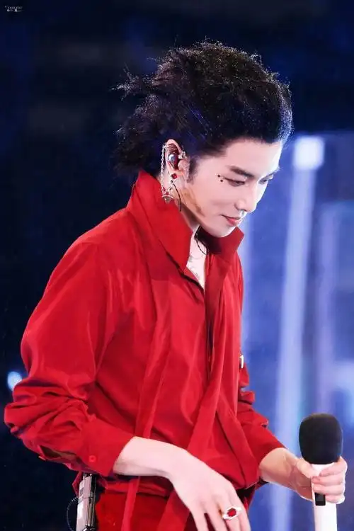 华晨宇的发际线