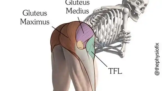 如何正确的练习单腿硬拉?