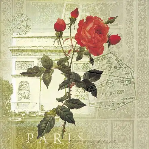 带刺的玫瑰花与建筑 欧式风格玫瑰花装饰画 c