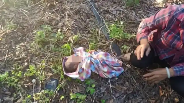 风险!泰国弃婴"洋洋洒洒"-第2张图片-康峰博客