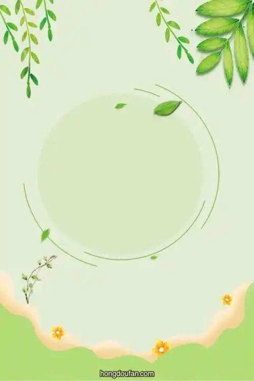 带有绿色柳树叶子的圆形主题浅色a4背景图片