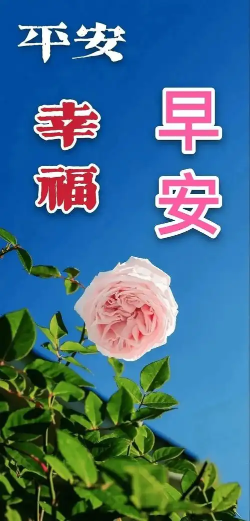 早上好表情包 早安心语唯美配图 早上好问候专辑_生活