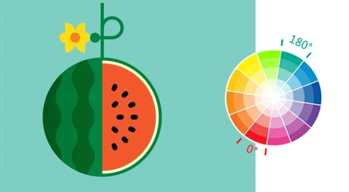 互补色对比活跃和使人兴奋的特点具有明快,饱满,华丽橙与紫,黄与蓝