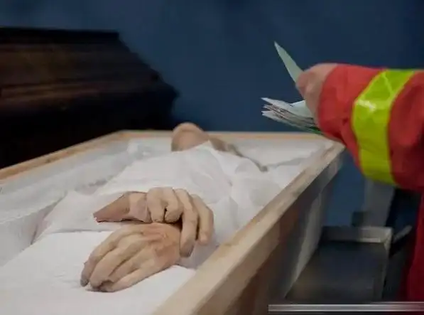 细菌|腐烂|尸体_网易订阅