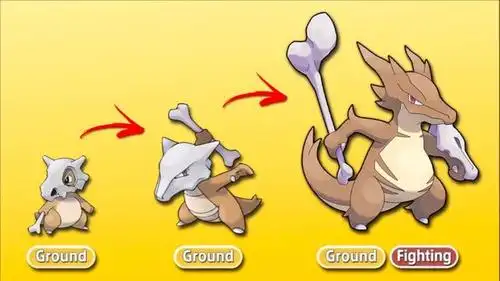 神奇宝贝:当宝可梦超级进化后,信使鸟喝醉了,穿着熊申请退化