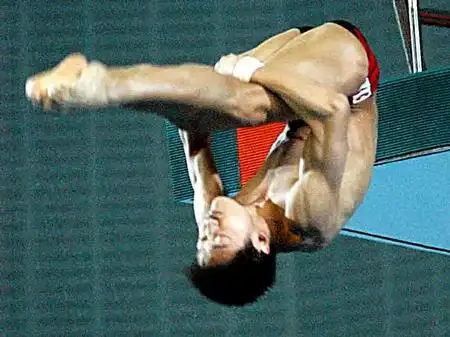 全国跳水锦标赛 田亮男子10米跳台决赛夺冠(图文)