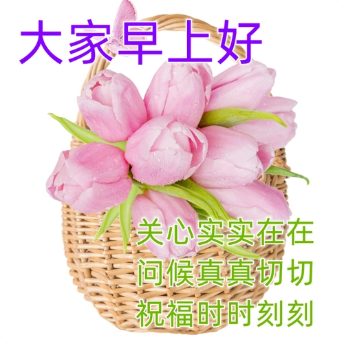 大家早上好全新版早安问候图带字 最美早安问候图片带字温馨