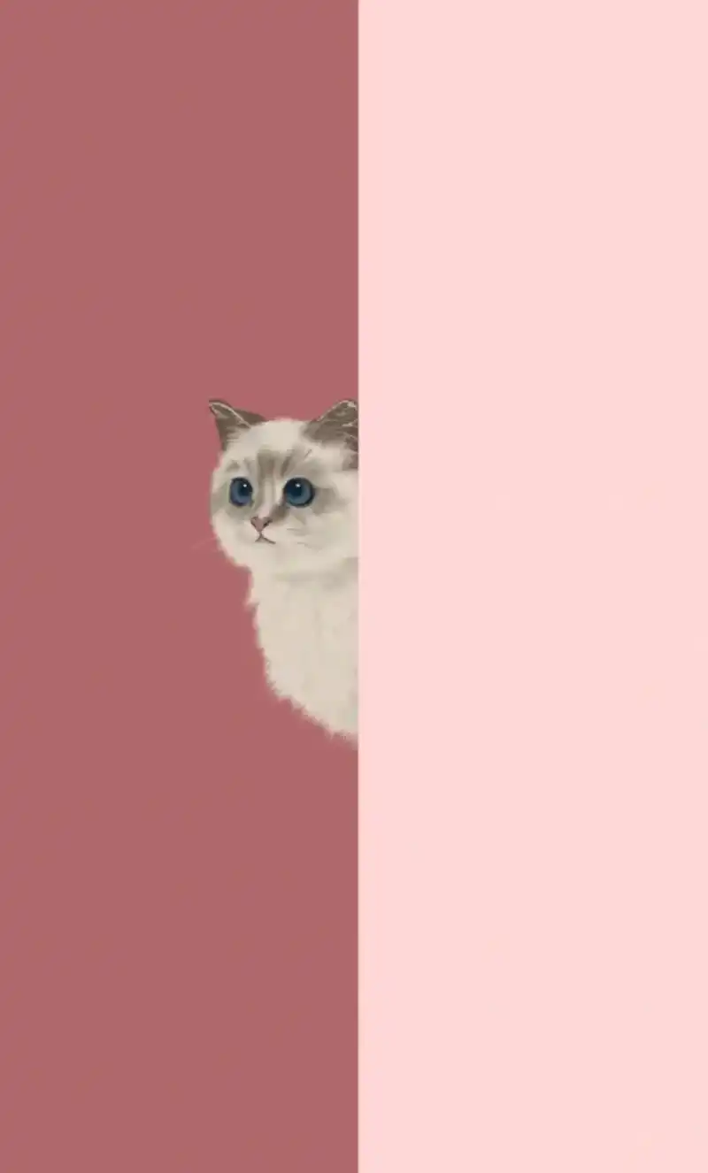 手机壁纸 #聊天背景图 #壁纸 #背景图 #沙雕壁纸 #壁 - 抖音