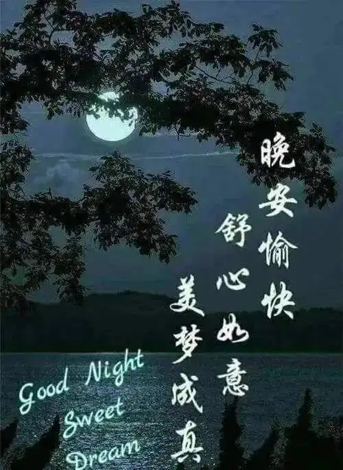 最新版说晚安祝福配字图片