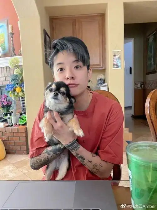 刘逸云姐姐这只好像剪了毛的碳啊哈哈哈