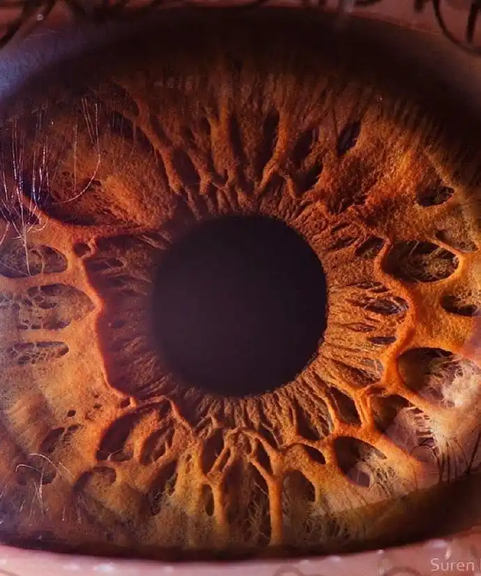 这是一组关于"眼睛"的图当你凝视着深渊,深渊也在凝视着你.