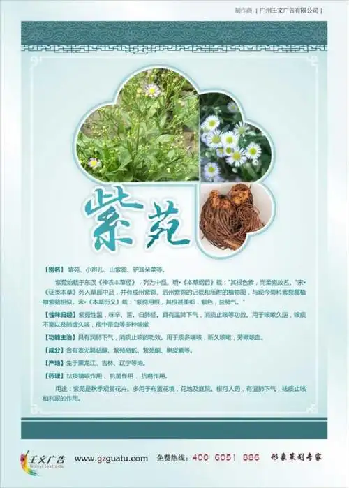 相关推荐:【医学家与中医药标语】关键词: