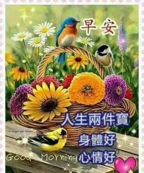 温馨早安问候语大全祝福语句子温馨早安问候语图片带字动态表情祝福