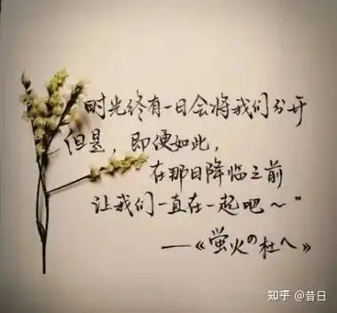 有那些特别绝的句子