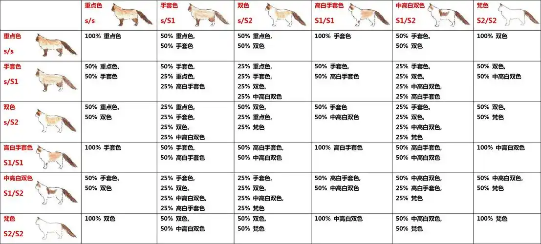 下表是六种花色的配色表