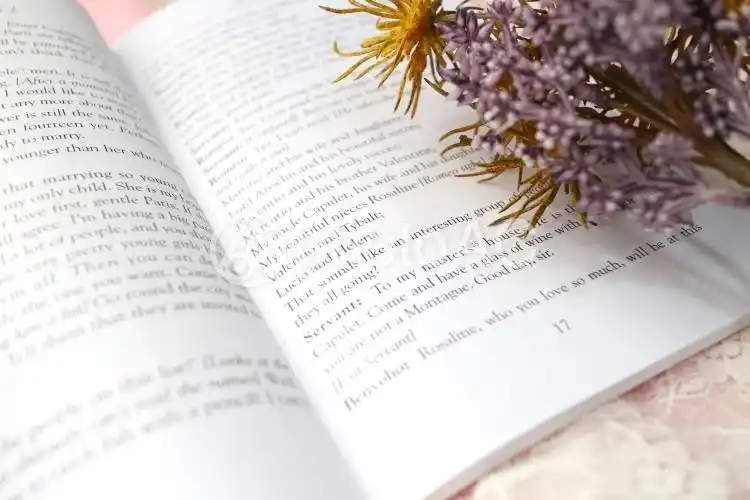 照片素材(图片): 西方书籍和秋花阅读图像