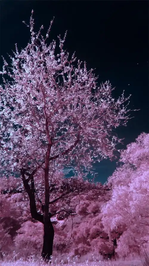 创意抽象艺术高清手机壁纸