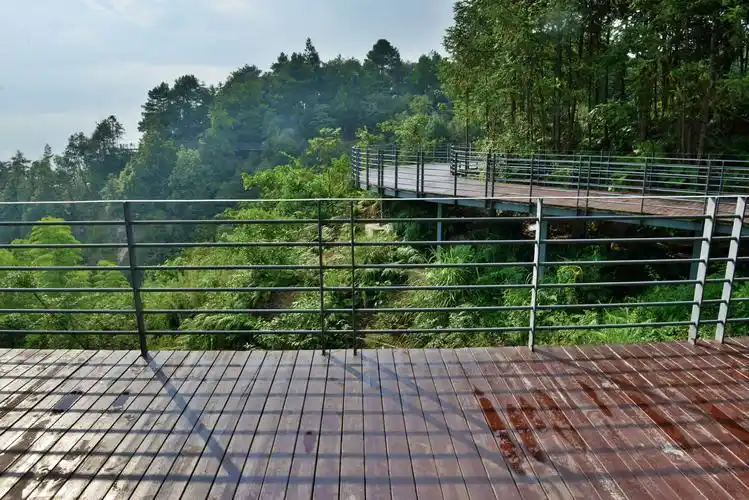 慢步于云岭森林栈道