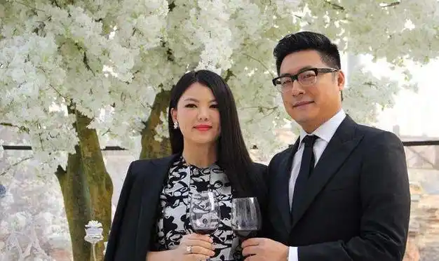 王岳伦深夜自曝离婚,暗讽李湘有新欢:结婚12年,终于不想装了|大s|何炅