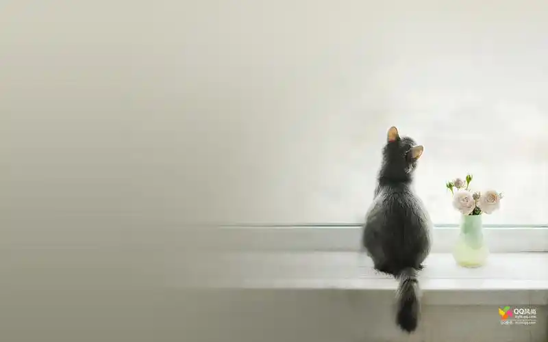 qq风尚壁纸 第十二辑