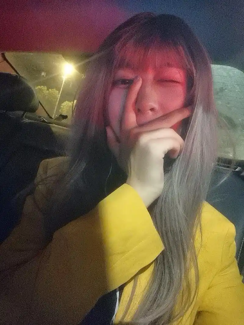 女装大佬の假发合集