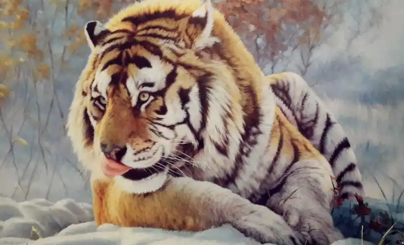 兽中之王老虎壁纸_霸气凶猛的老虎