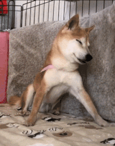 搞笑gif段子:你看看有车多重要,没有车哪来这么多朋友