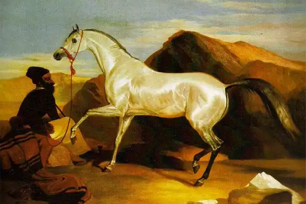 马画经典--《骁勇善战的阿拉伯牡马》