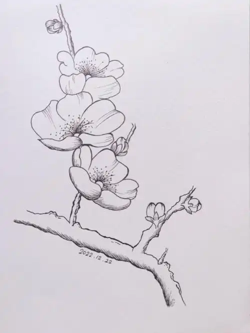今日冬至画枝梅花这两个月经历了很多事,2022过得太快,马上就要结束