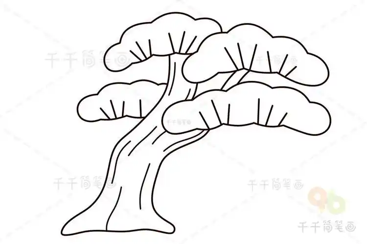乔松的简笔画简单
