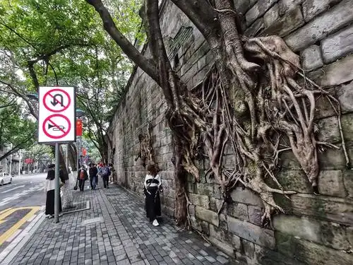 重庆最美中山四路和山城第八步道