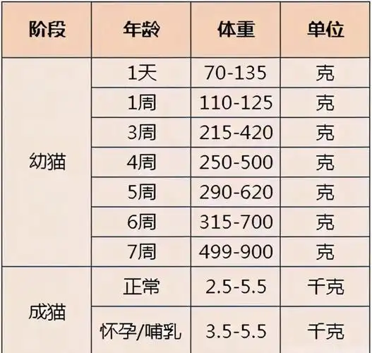 猫咪体重标准表,胖瘦一览!