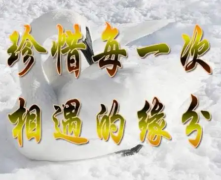 缘分不易彼此珍惜图片,珍惜缘分陪伴一生图片