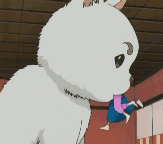 大白猫图片_大白猫动态图_大白猫表情包gif动图下载_soogif