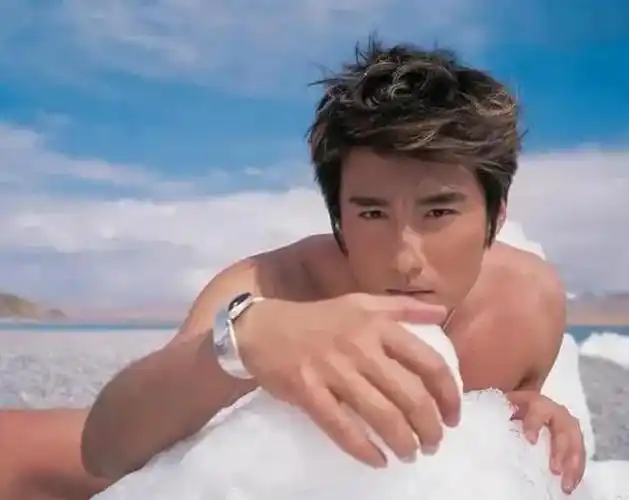 看胡兵,陆毅,吴彦祖,郭富城等等,都是一系列的写真集,谁娘?