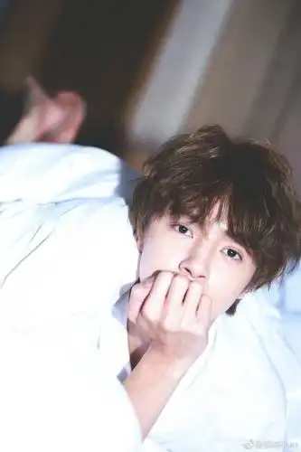 流星花园花泽类官鸿