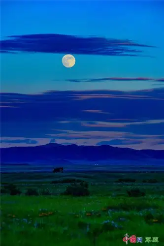 草原月夜(摄影:阿里)
