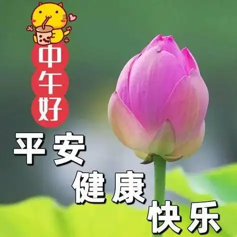 中午好图片大全,中午好问候,午安美图