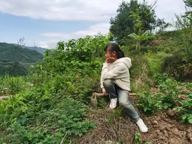 罗申翠家所在的云南山区