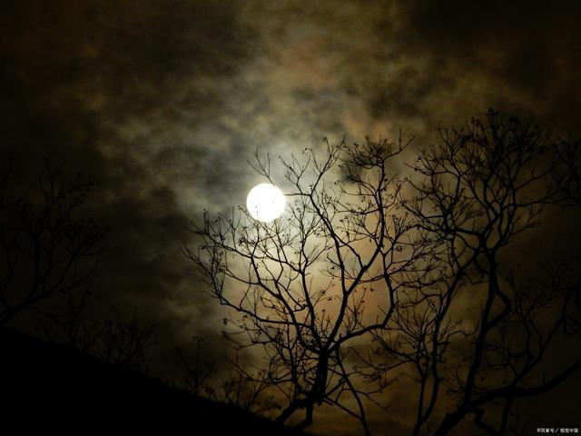 唐代才子的一首赏月诗,语言清丽,意境空灵,美得醉人