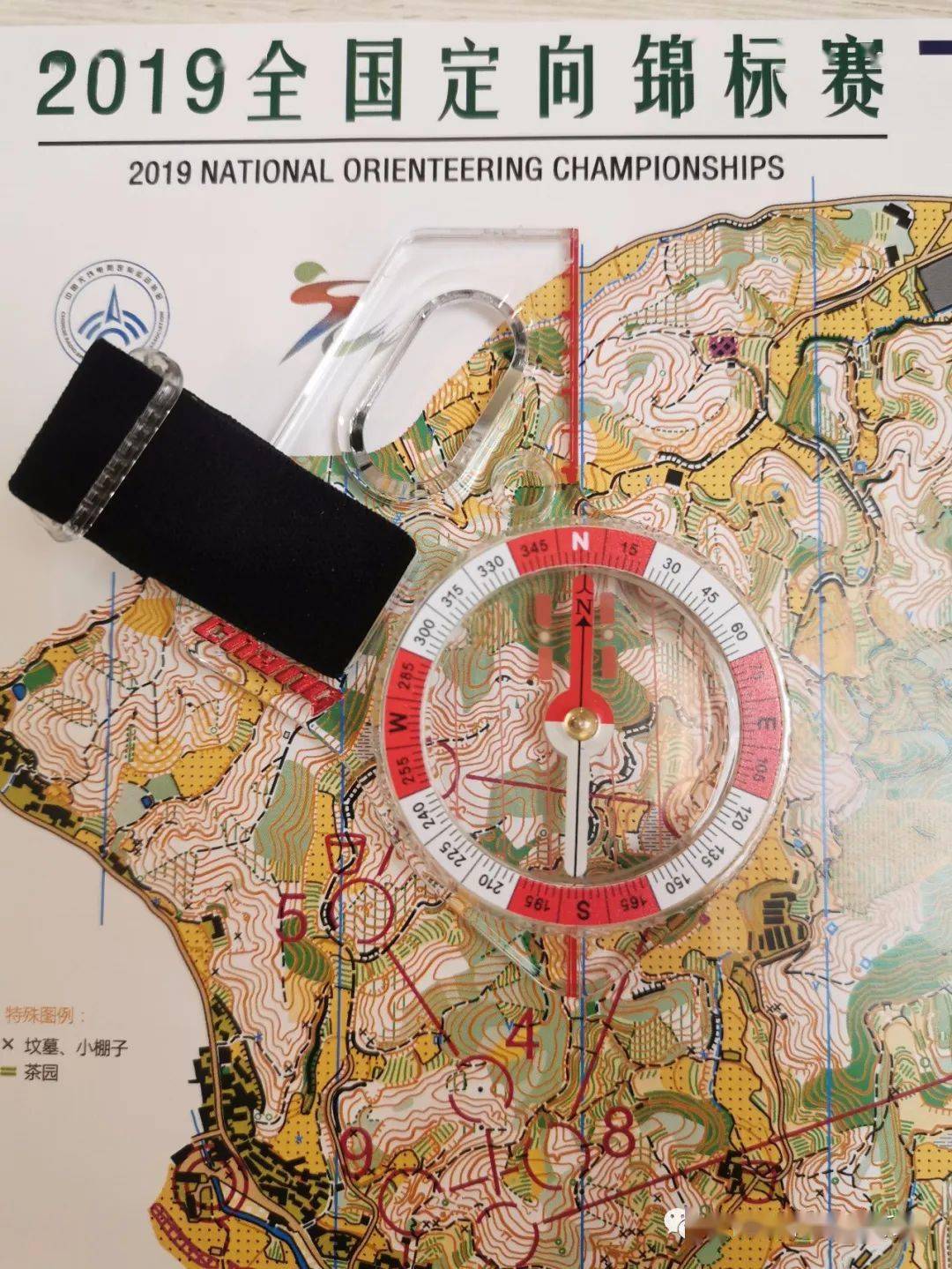 定向运动,指北针你会用吗?_地图