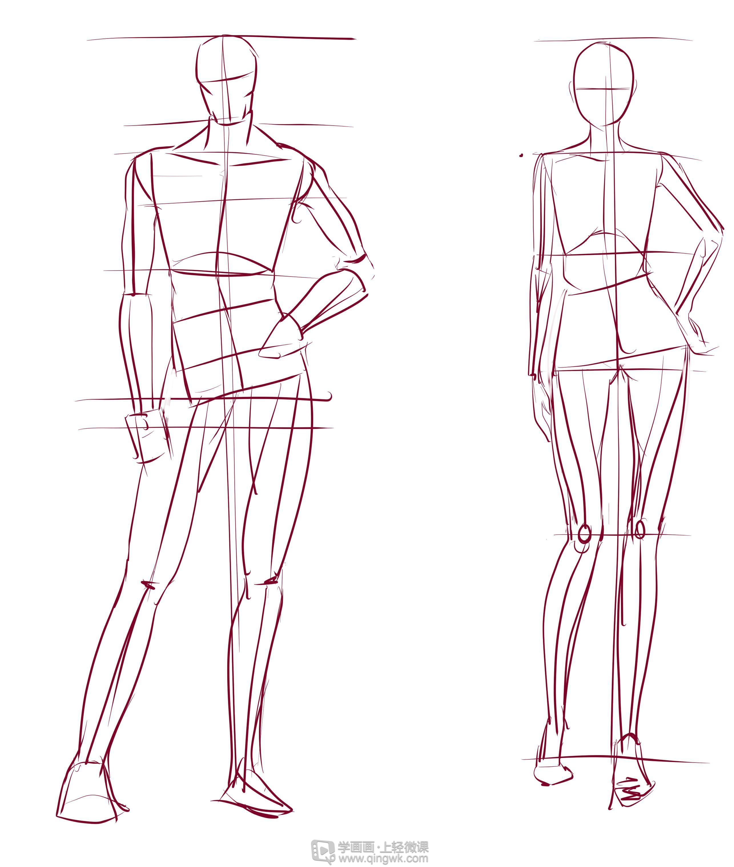 临摹人体人体入门绘制提升练习