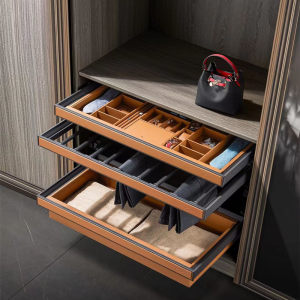 衣柜内抽屉式收纳柜定制图片