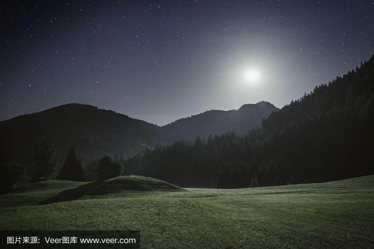 月光下的阿尔卑斯山草地