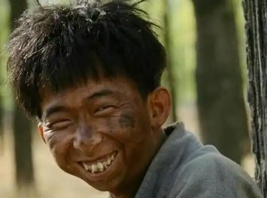 中国十大最丑男星排行榜 中国最丑男演员有哪些(5)