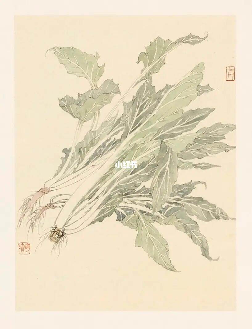 原创  #艺术  #国画  #写意国画  #青菜  #果蔬国画写意