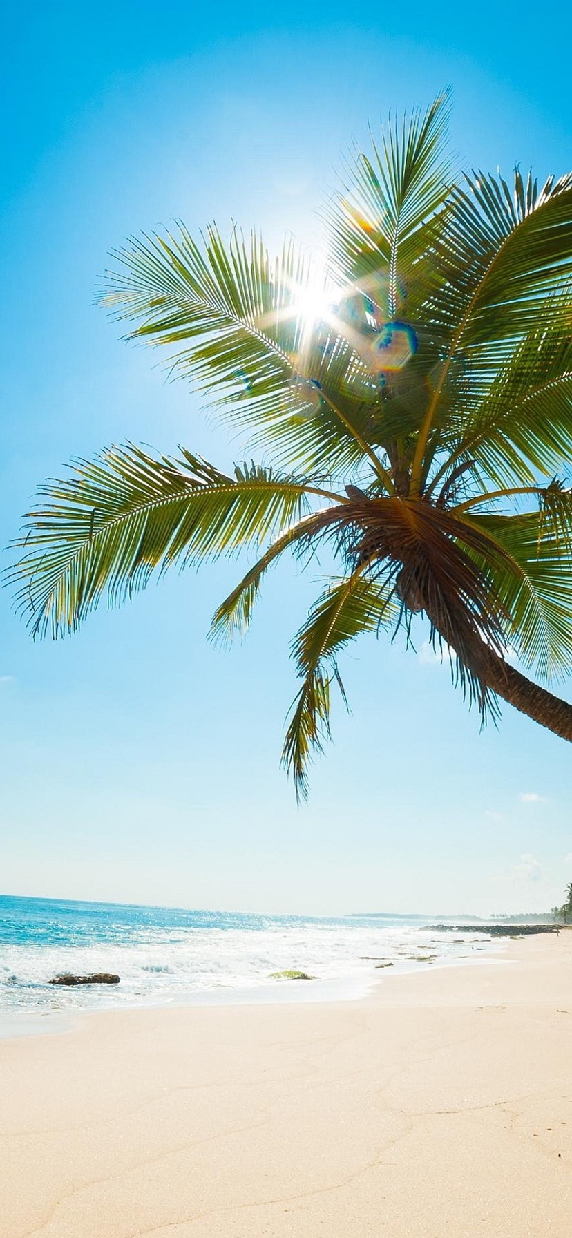 棕榈树,海滩,海洋,阳光,热带,蓝天 iphone 壁纸