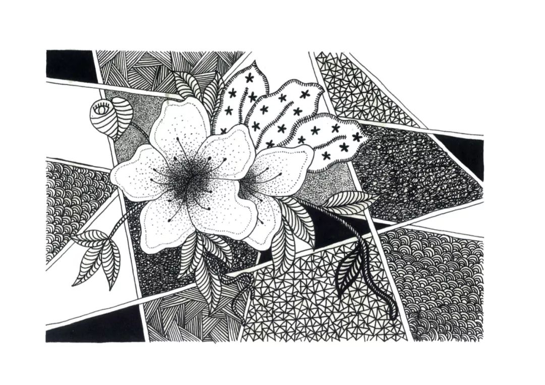 那么如何画出具有美感的画面呢,基本的点线面构成不可不了解.